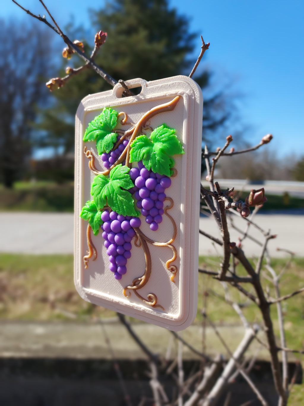 Vineyard Grapes Relief Card Holder