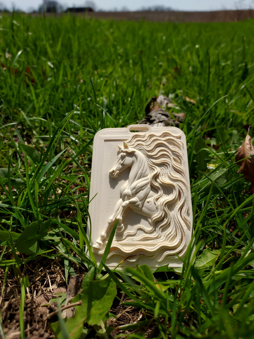 Graceful Horse Relief Card Holder